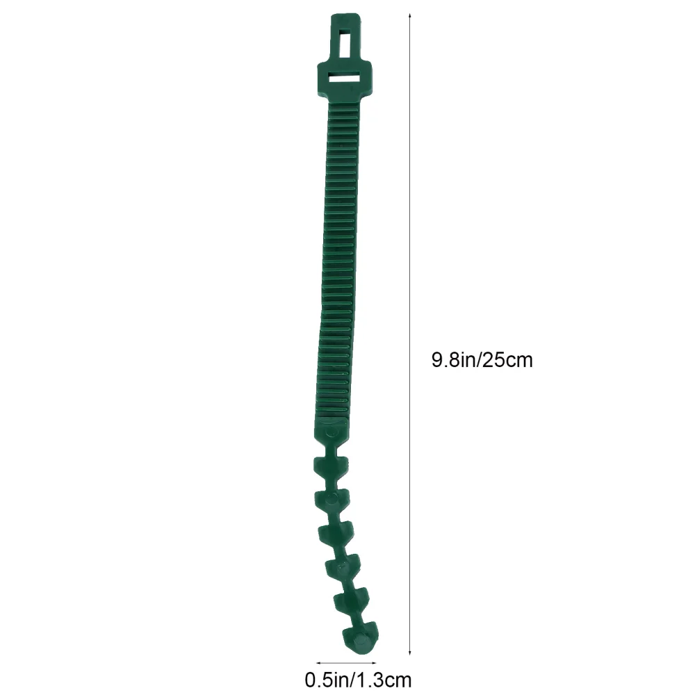 20pcs Vines Fixed Buckle Plant Plastic Reusable Binding Belt Garden Belt (Green it is 25cm Long, 1.3cm Wide and 0.4cm Thick)