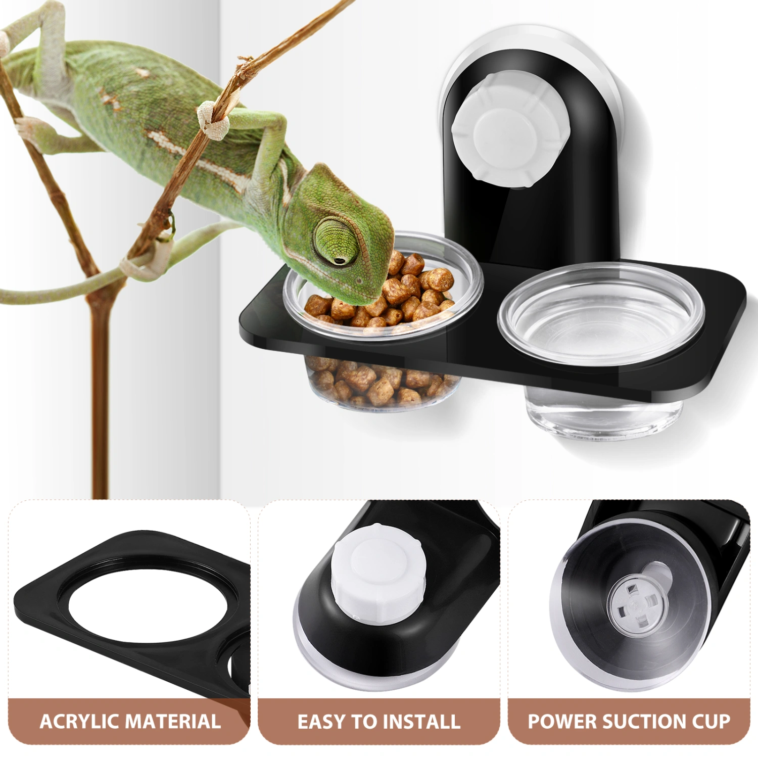 POPETPOP Reptile Feeder Water and Food Double Cup Container Feeding Bowl for Lizard Turtle Gecko Scorpion Centipede (Suction Cup Type)