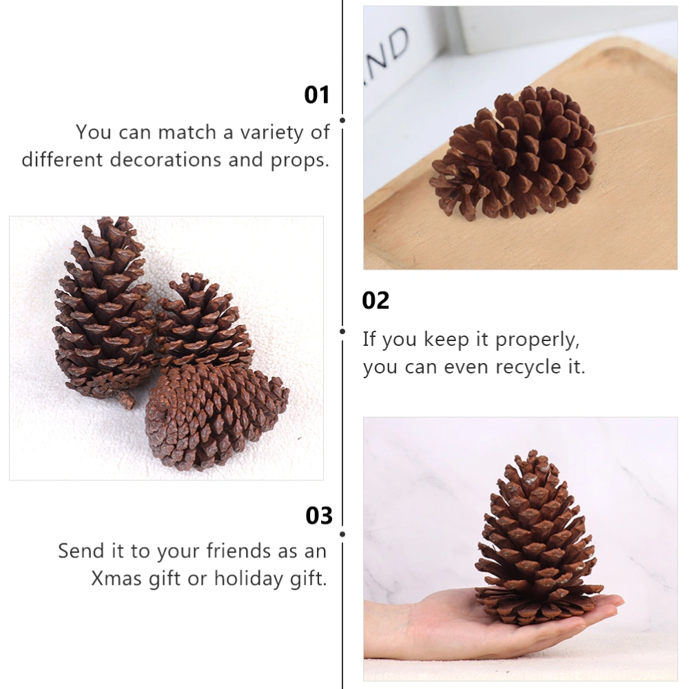 6Pcs Real Pine Ball Ornaments Dried Pine Cone Props for Decoration