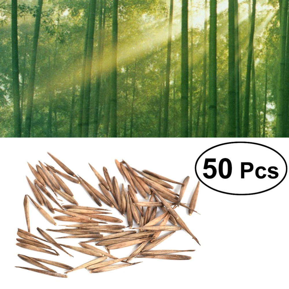 50Pcs Green Phyllostachys Pubescens Bamboo Garden Yard Plants Supplies