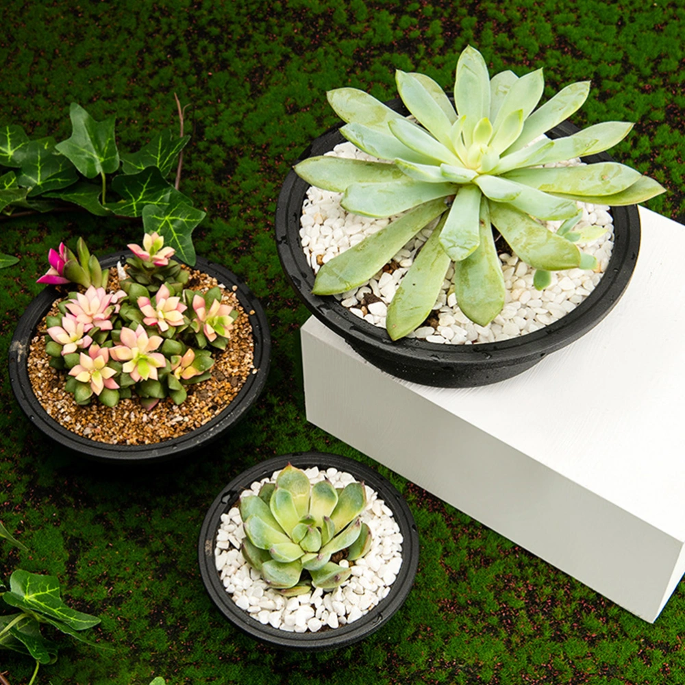 6 Pcs Plastic Flowerpot Hollow Bottom Succulent Plants Container Gardening Flowerpot