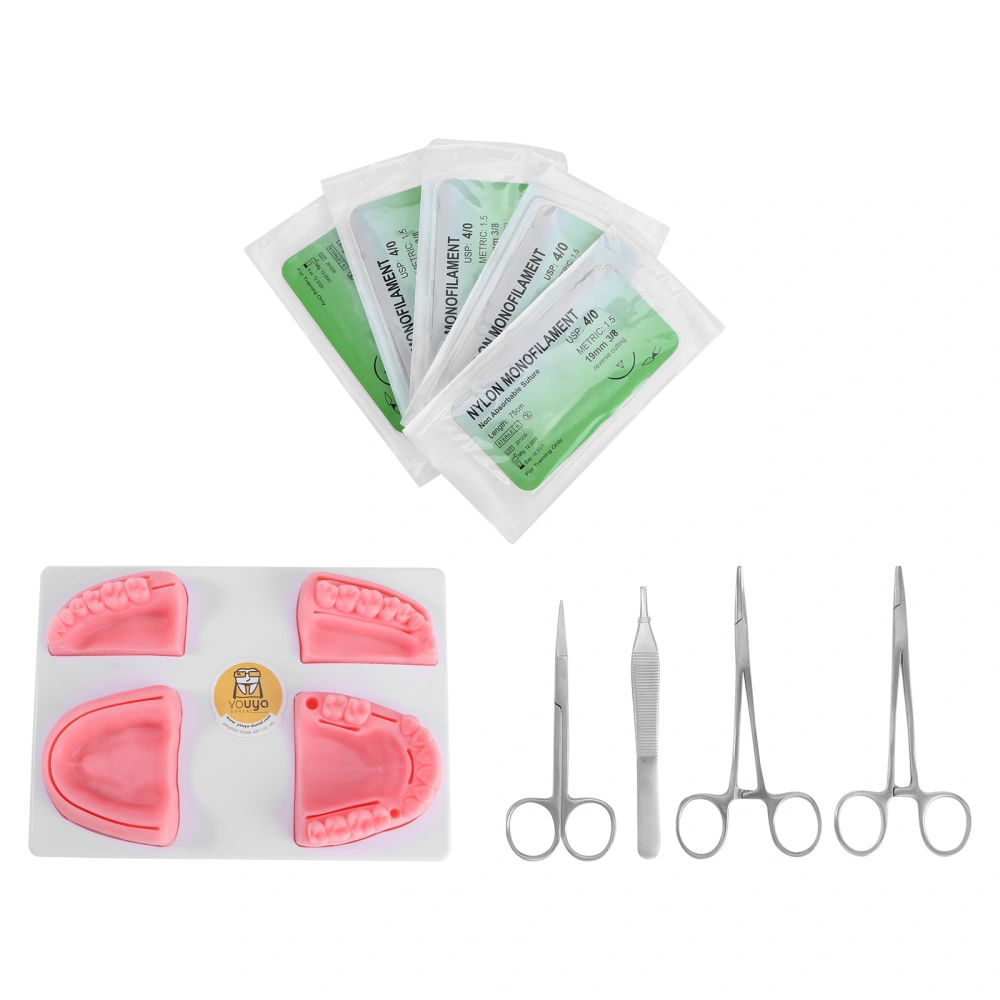 1 Set Simulation Oral Suture Model Gum Suture Teaching Training Tool Equipment