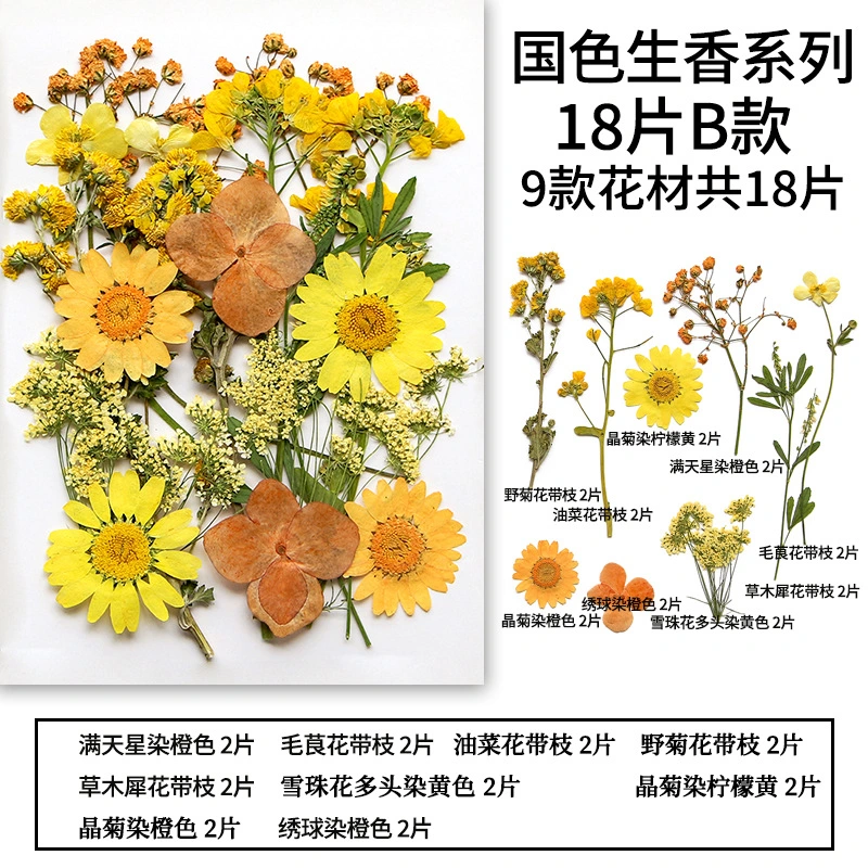2 Sets of Natural Dried Flowers Diy Craft Pressed Flowers Diy Flowers Decor Accessories