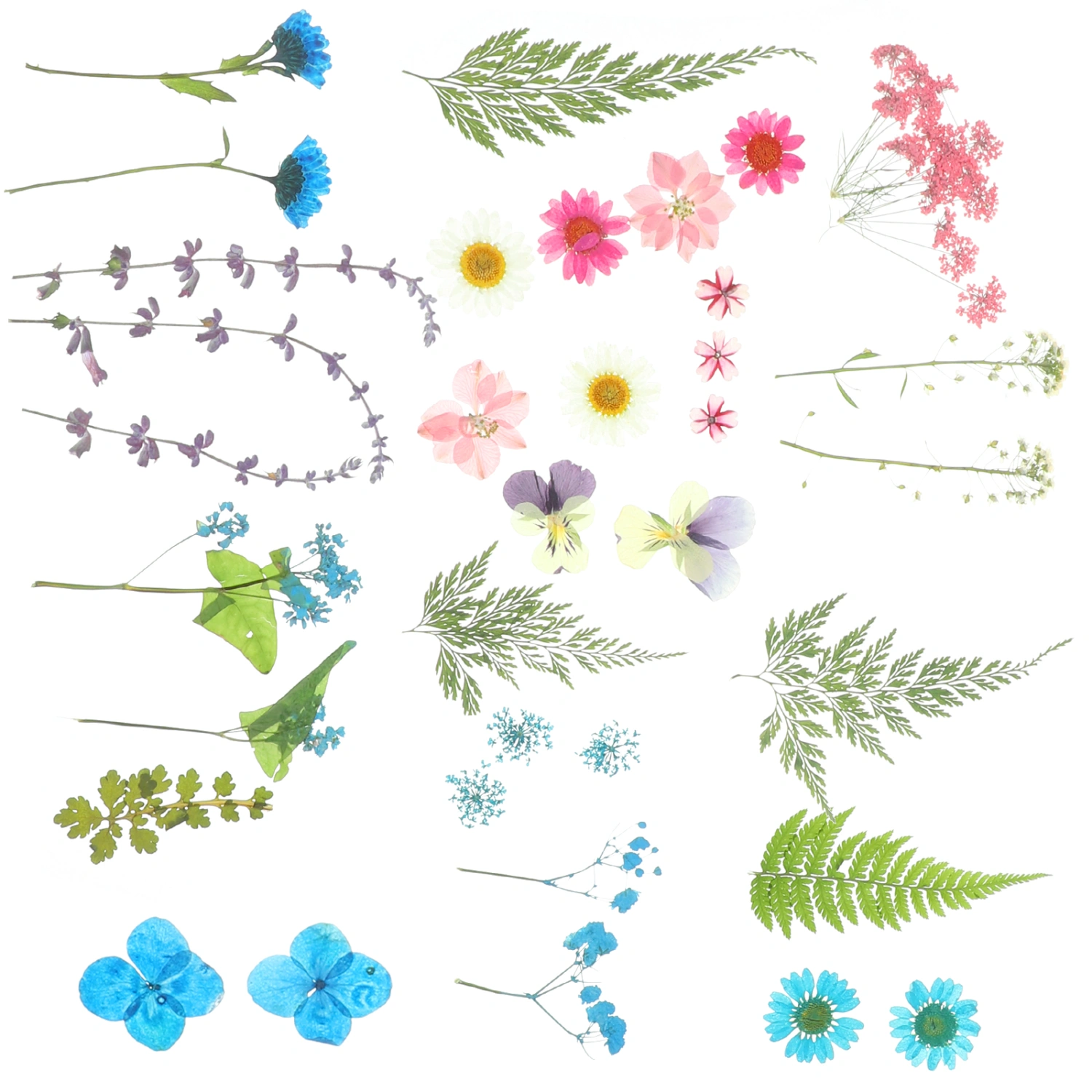 2 Sets of Natural Dried Flowers Diy Craft Pressed Flowers Diy Flowers Decor Accessories