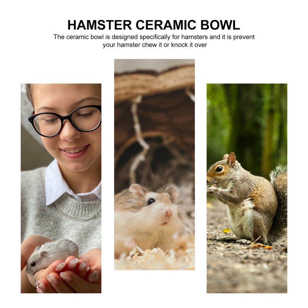 Hamster Feeding Bowls Ceramic Chew Resistant Food Bowls for Small Rodents Gerbil Hamsters (Blue)