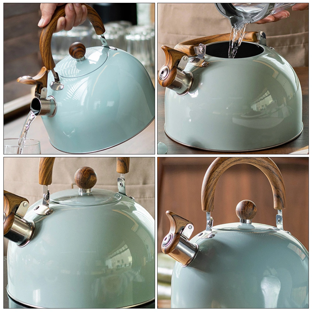 Hot Water Whistling Kettle Boiled Water Pot Boiling Kettle Handle Pot Kettle for Restaurant