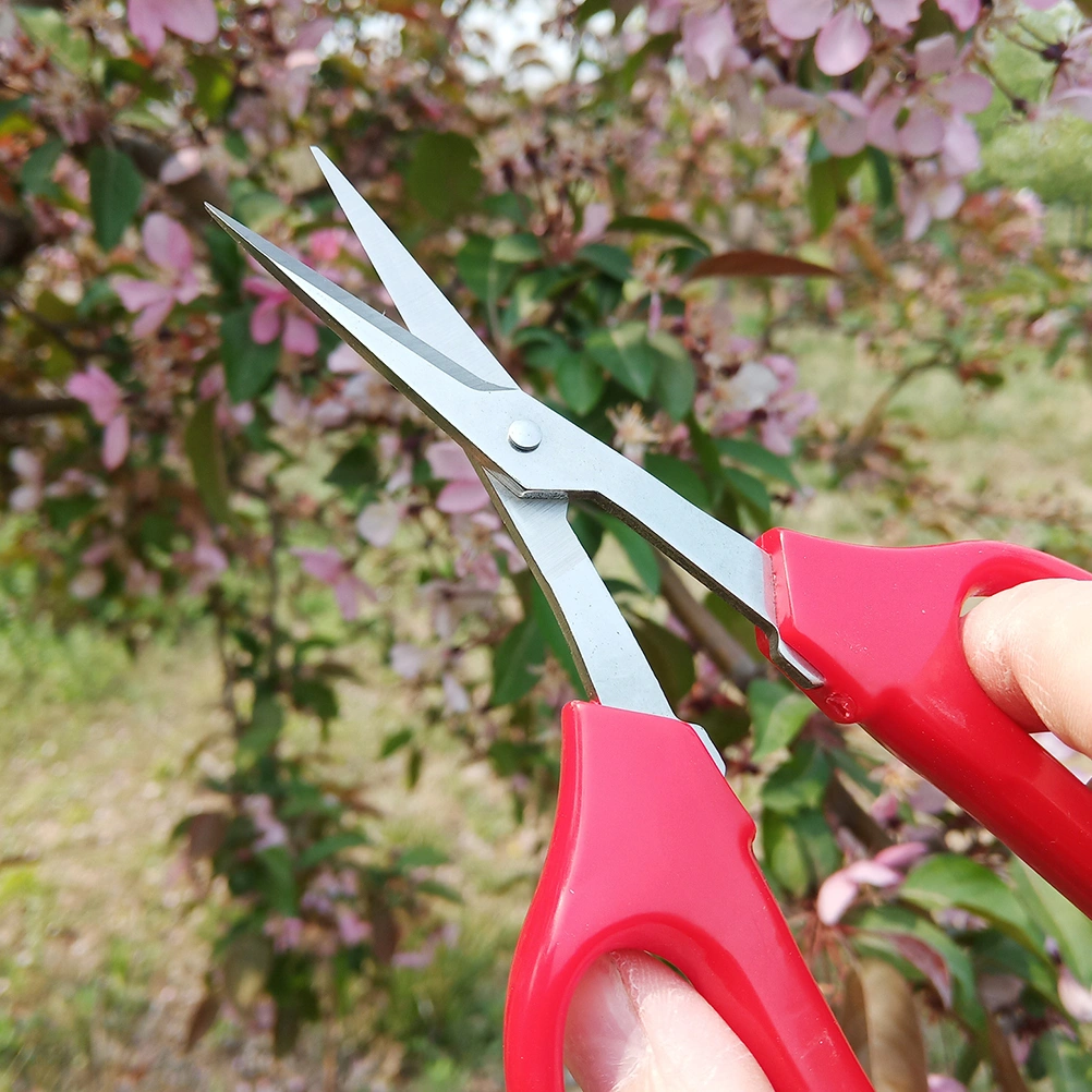 Flower Shop Scissor Garden Flower Arrangement Pruning Shear Floral Scissor Garden Accessory
