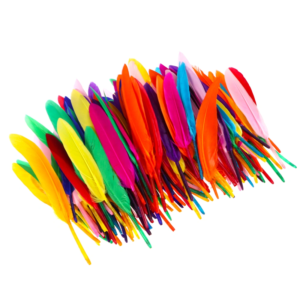 250pcs DIY Nature Feather Home Decoration DIY Craft