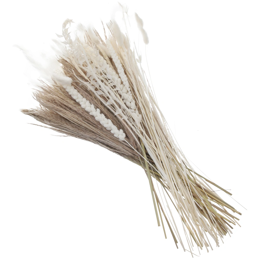 1 Box Pampas Grass Dried Flowers Bouquet Dried Reed Grass Flower Arrangement Table Decoration