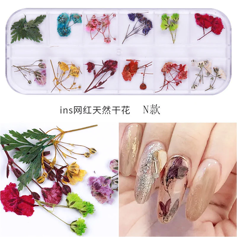 2 Boxes Dried Flowers Nail Art Dry Flowers Nails Art Supplies Small Tiny Dried Flowers