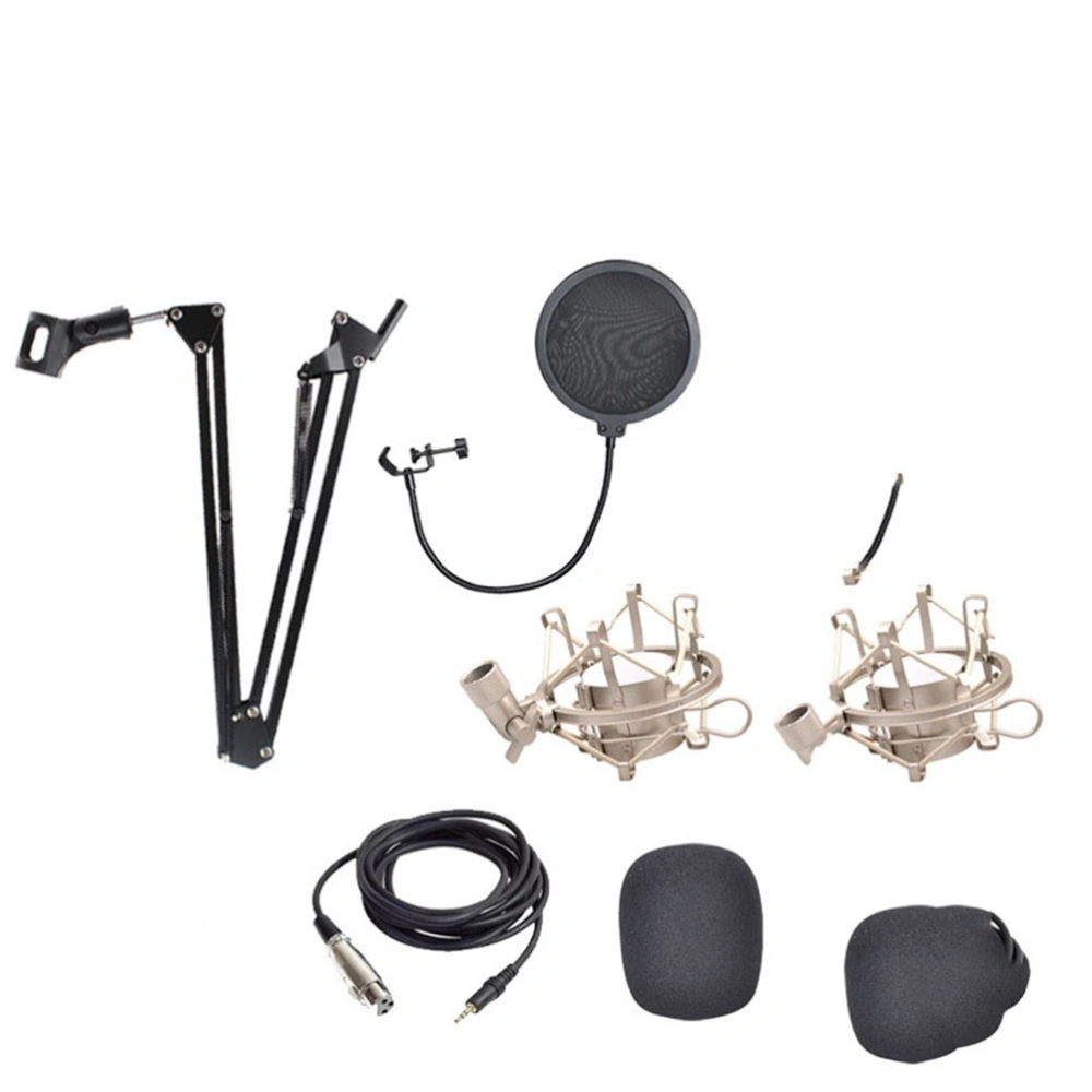 Professional Studio Broadcasting Recording Condenser Microphone  Bundle Mic Kit (Black)