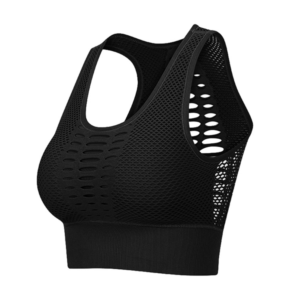 Mesh Shock-proof Sports Bra Running Underwear Yoga Fitness Women's Jogging Breathable Bras(Black L)