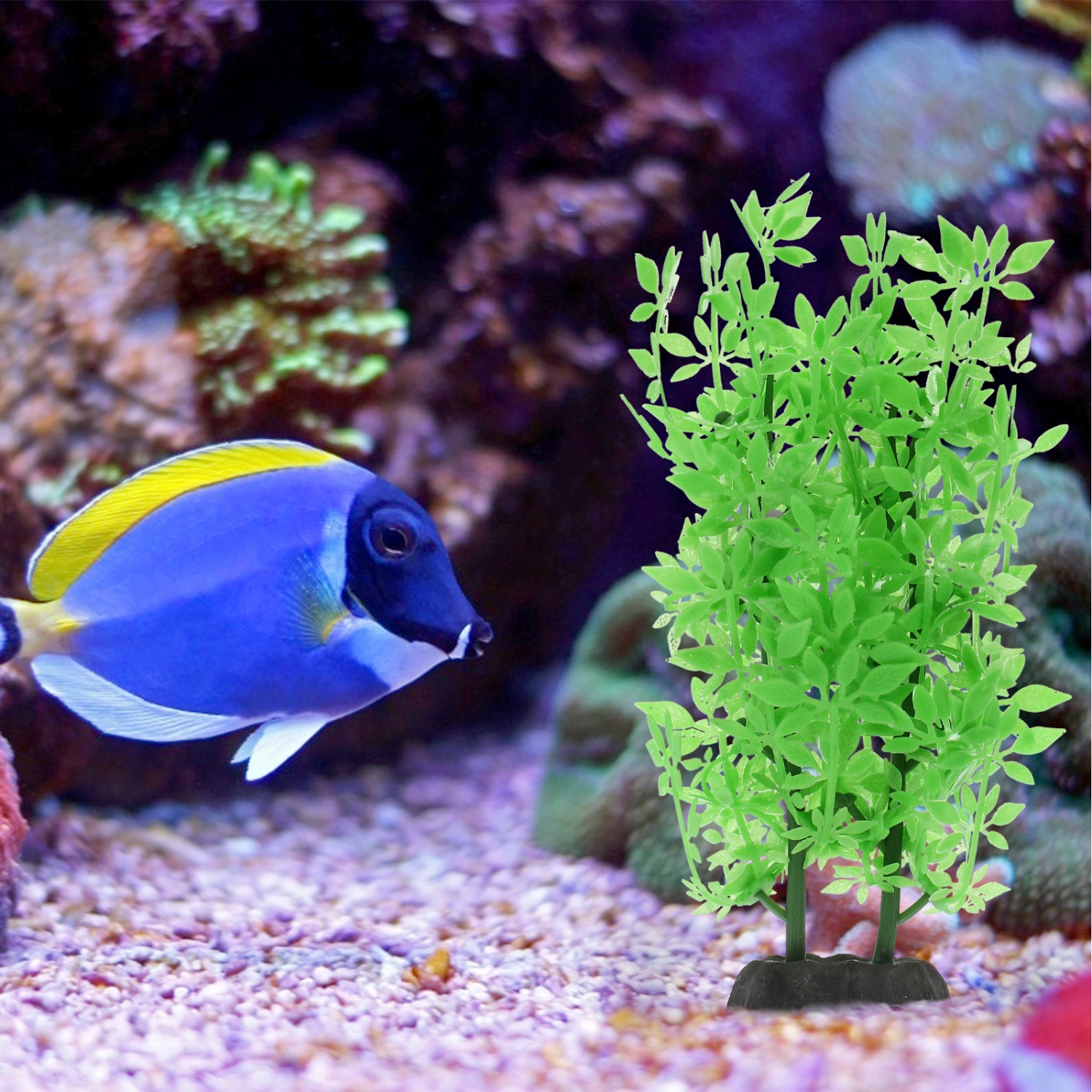 Aquarium Simulation Grass Delicate Fish Tank Water Plant Decor Aquarium Ornament
