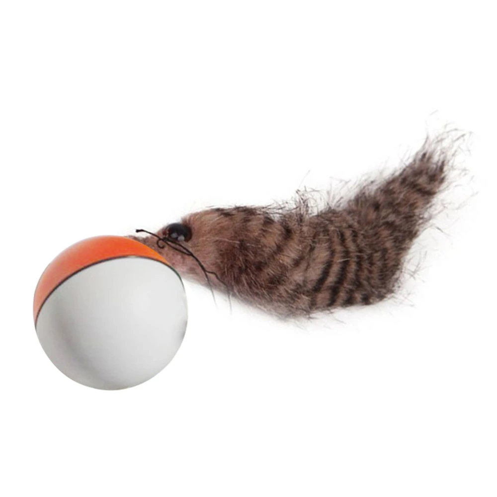 Beaver Ball Electric Beaver Weasel Toy Rolling Ball Water Mouse Toy for Cat Puppy Dog(Random Color)