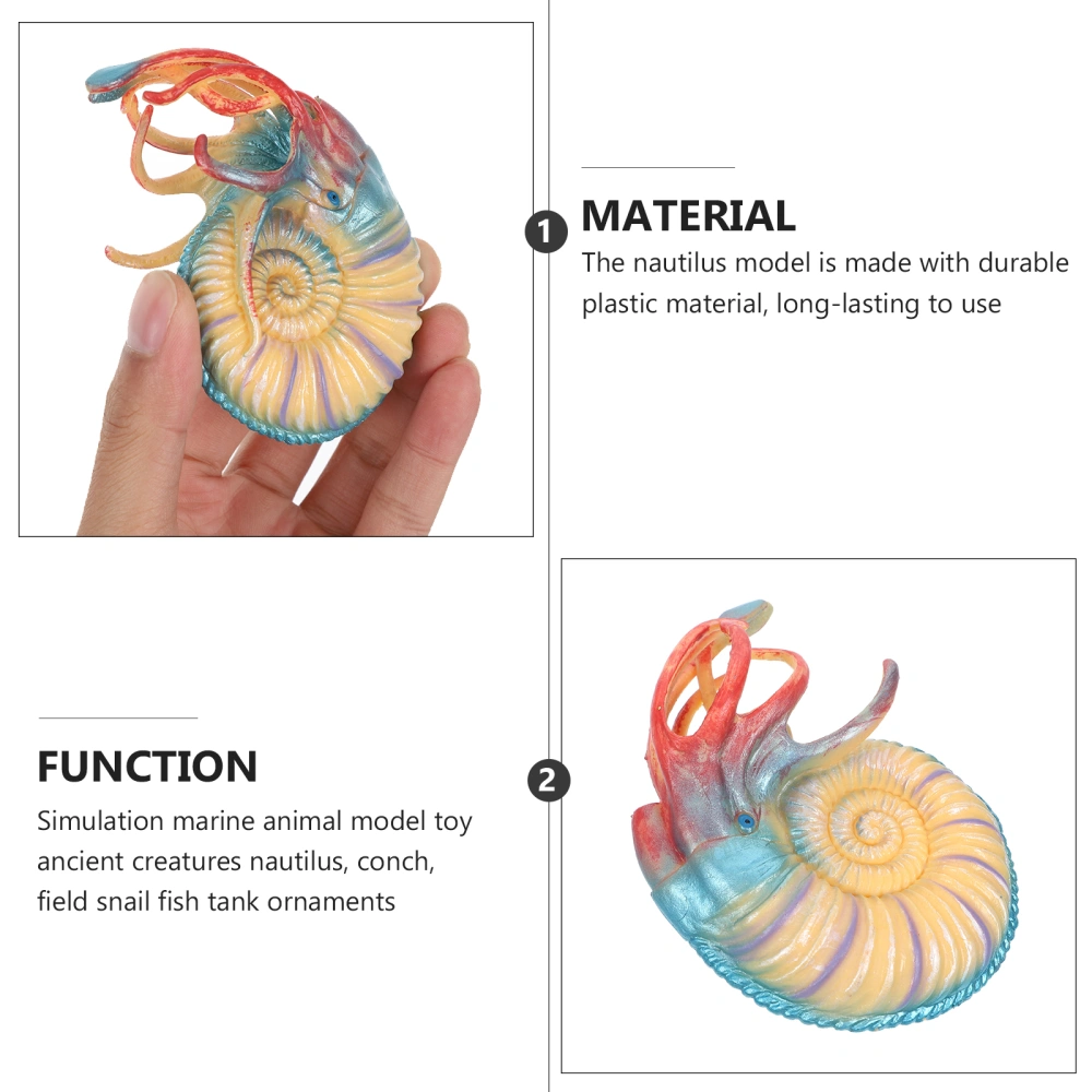 Sea Animals Model Nautilus Model Marine Animals Model Sea Life Ornament