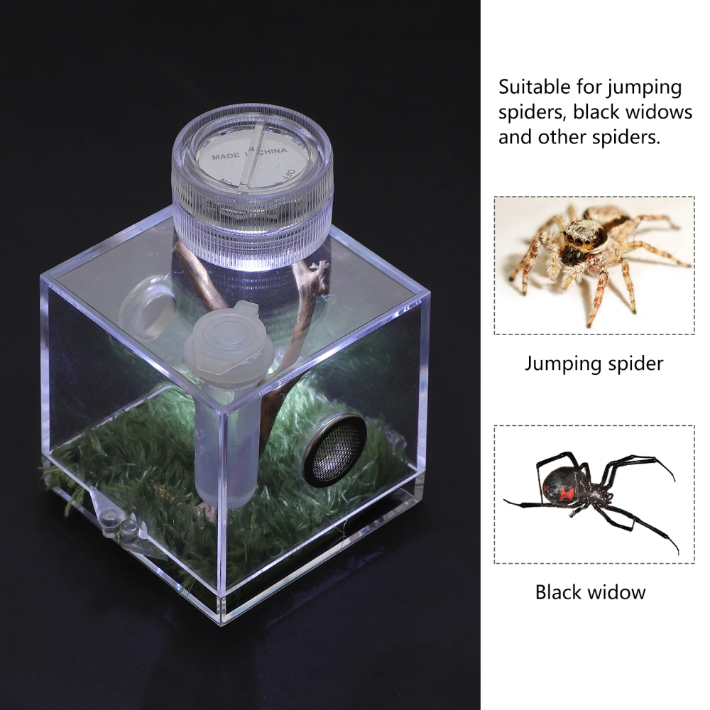 Spider Habitat Box High Transparent Jumping Spider Cage Storage Case with Lamp