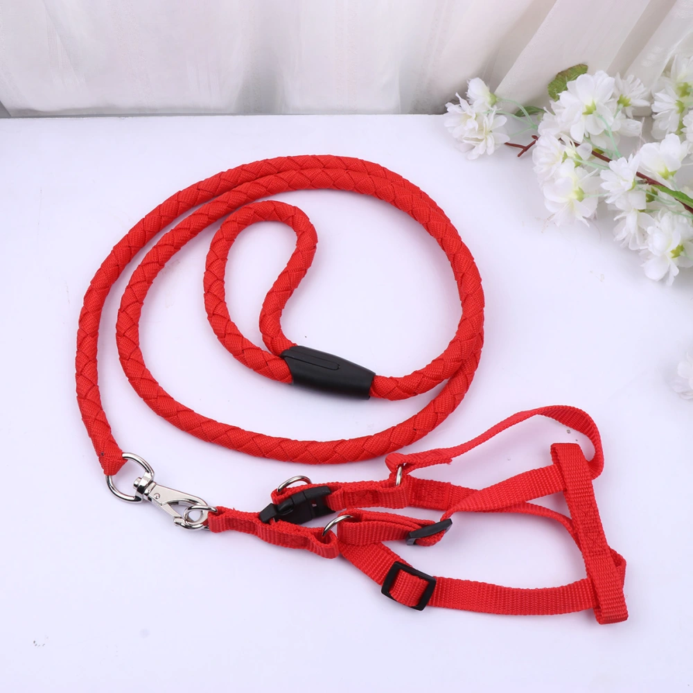 Adjustable Pet Dog Harness Traction Rope Bright Color Comfortable Strap Pet Supplies for Home Outdoor Walking Supplies (Red, Size XXL)