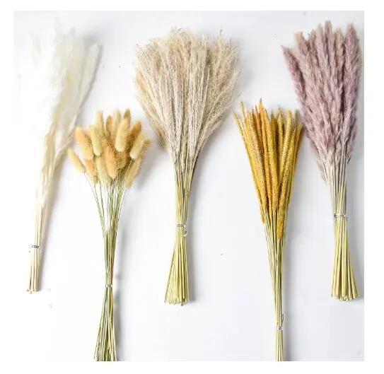 1 Set Dried Flower Bouquet Pampas Grass Dried Grass Dried Reed Flower Arrangement Supplies