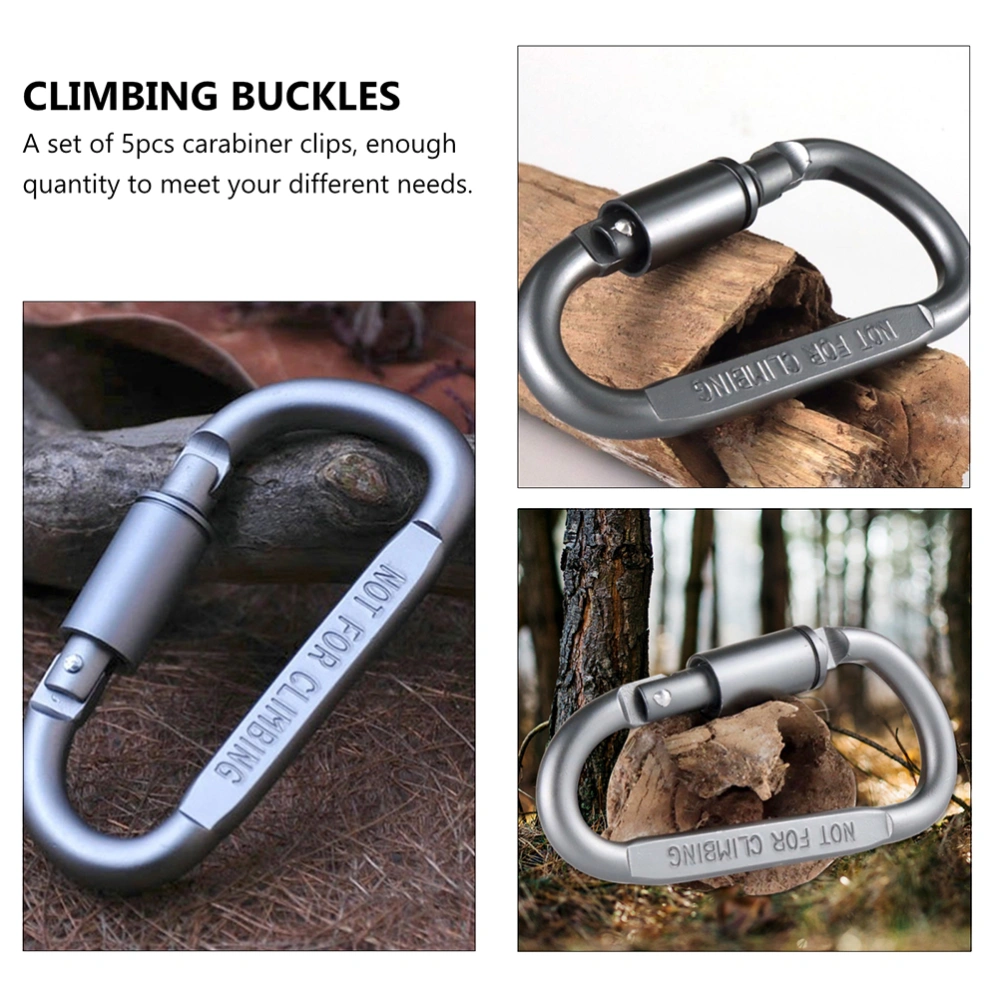 1 Set 5Pcs Aluminum Alloy Carabiner Clips Practical Hiking Snap Hooks (Grey)