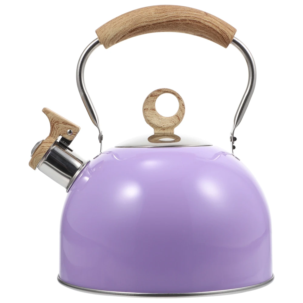 Whistling Tea Kettle Stainless Steel Kettle Water Boiling Kettle Practical Water Kettle