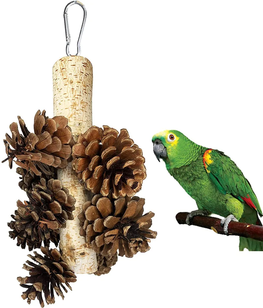 Bird Hanging Pine Cone Toy Parrot Chewing Pine Cone Bite-resistant Bird Shredding Toy Bird Cage Decor