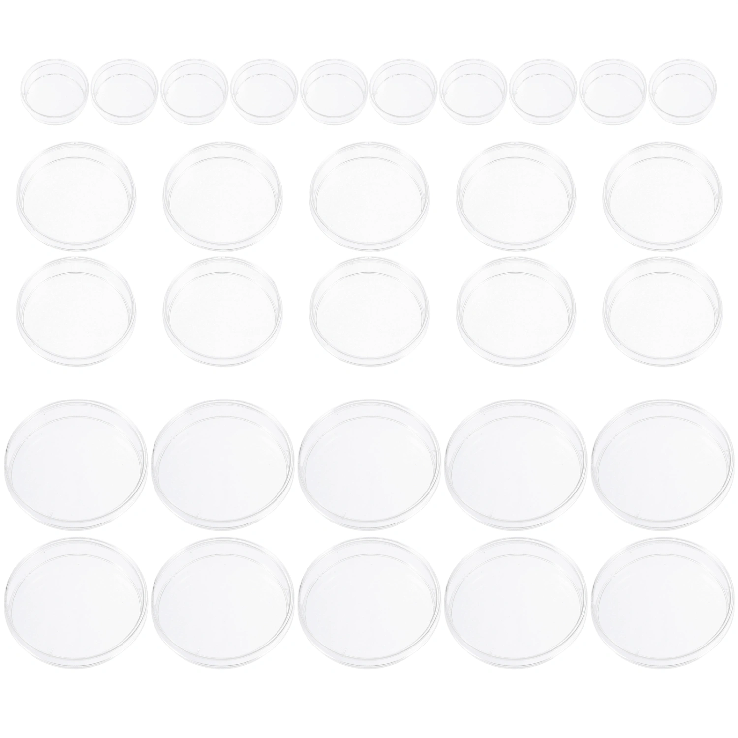 30pcs Plastic Sterile Petri Dishes Transparent Bacteria Culture Dishes with Lids