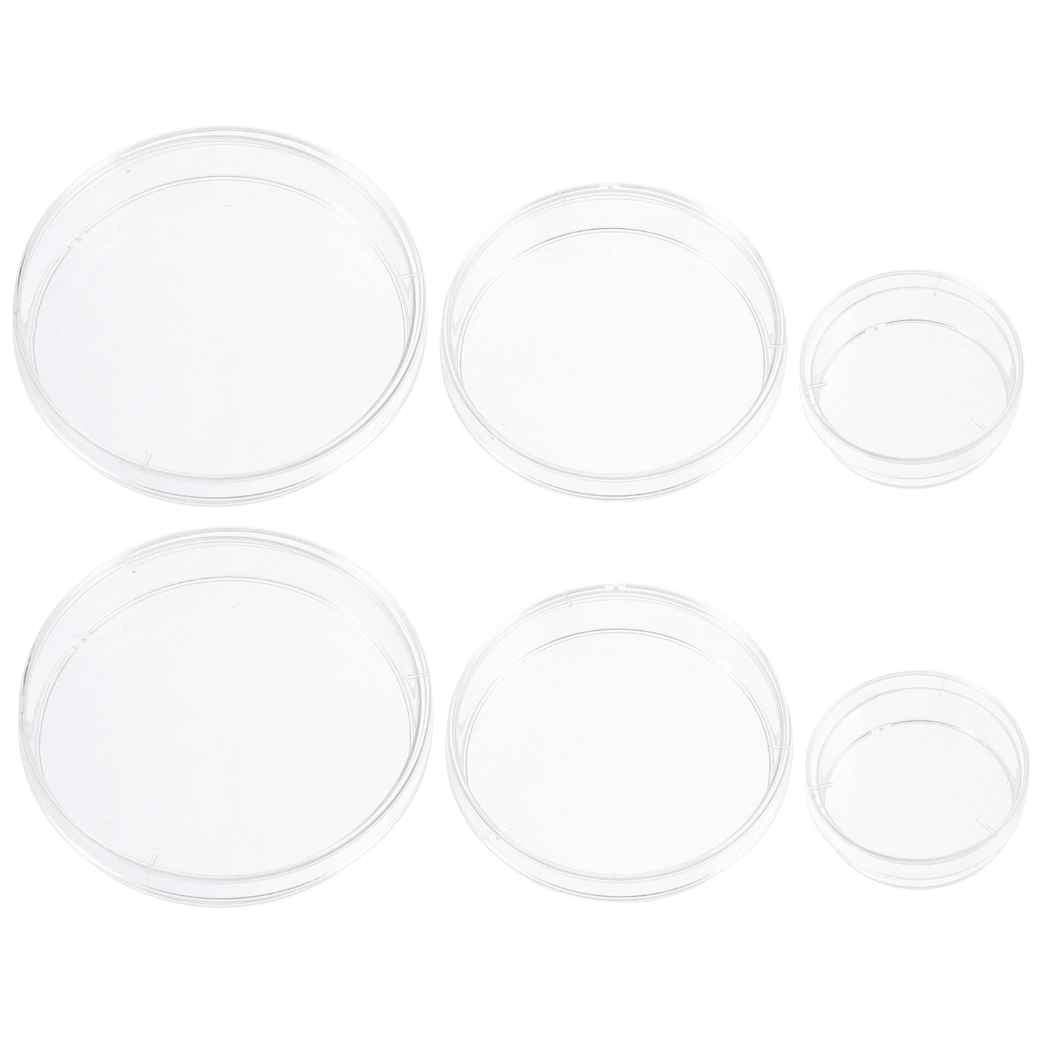 30pcs Plastic Sterile Petri Dishes Transparent Bacteria Culture Dishes with Lids