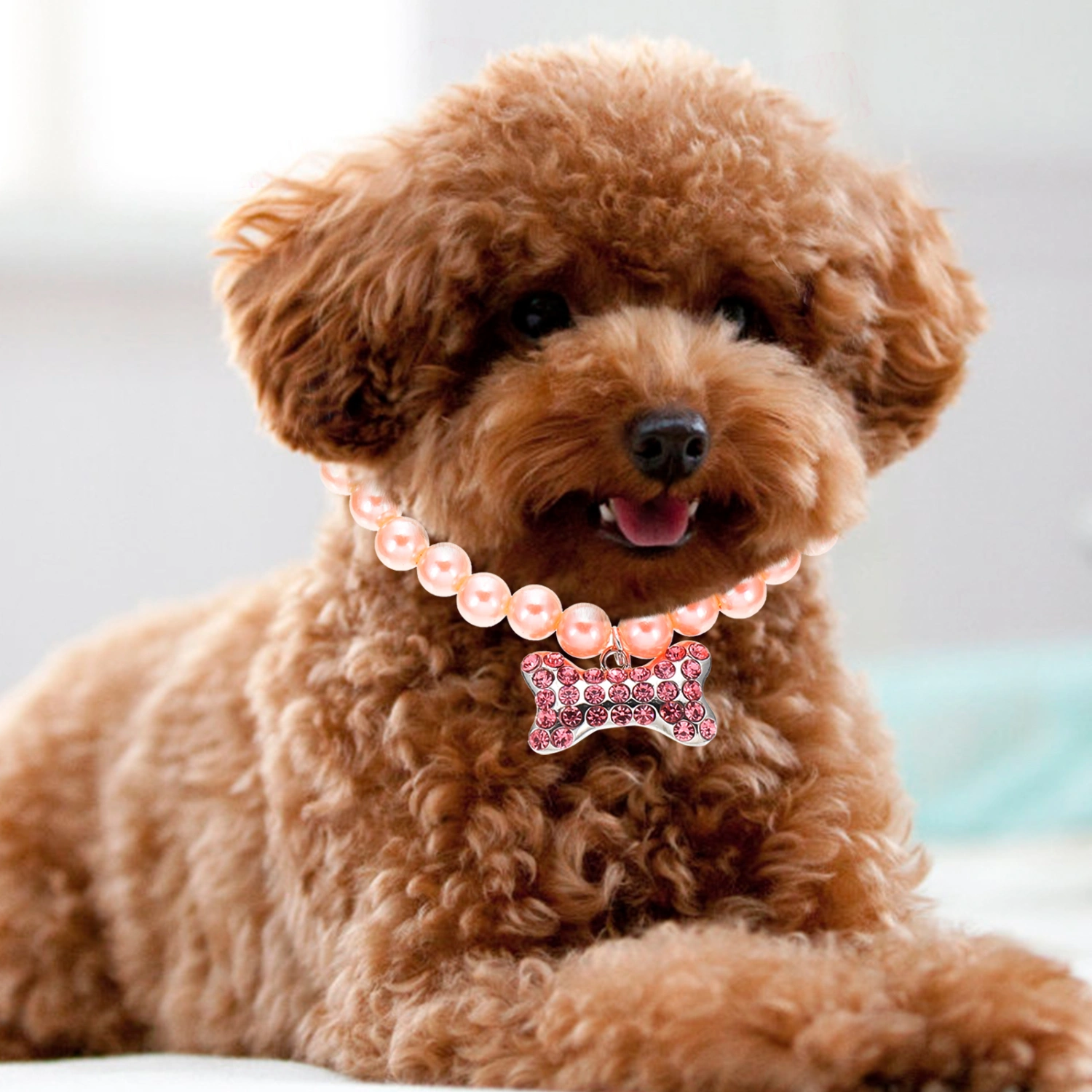 Pet Pearl Necklace Cat Dog Collar Decorative Dog Pearl Necklace Small and Medium Dog Collar