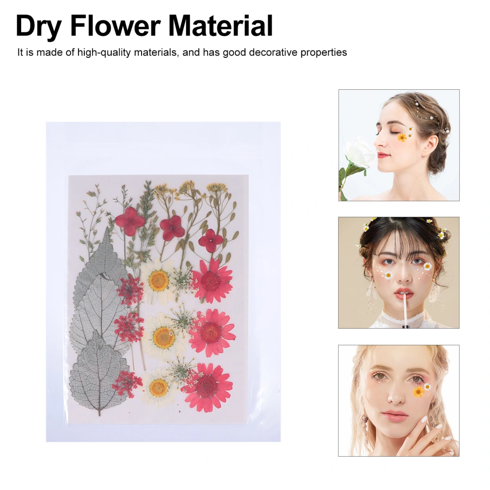 2 Sets Multifunctional Dried Flower Unique DIY Materials Craft Decoration