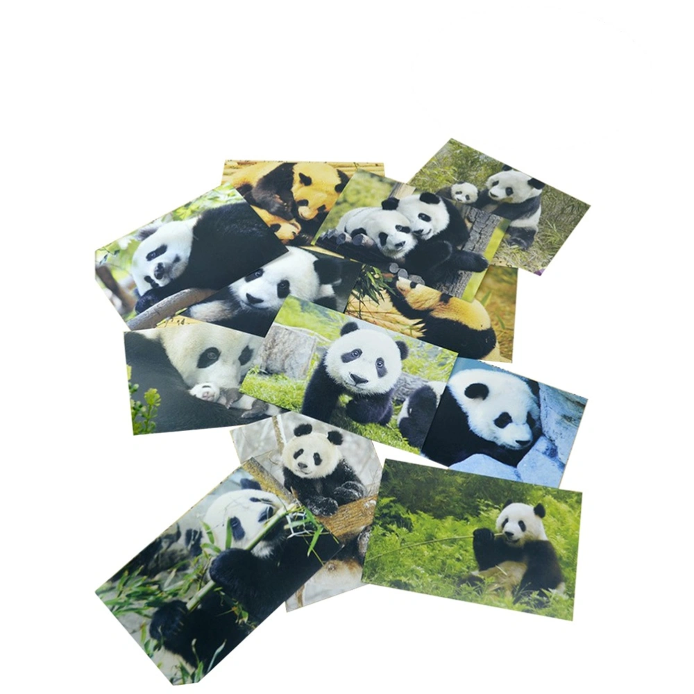 10pcs Adorable Pandas Postcards Animal Photography Series Postcard Great for Baby Showers Thanksgiving Gift