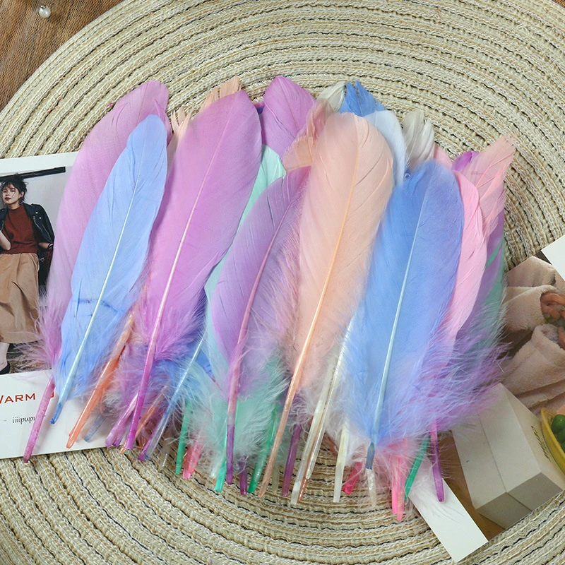 2 Bags Diy Plumes Material Dream Catcher Making Plumes Diy Craft Making Supplies