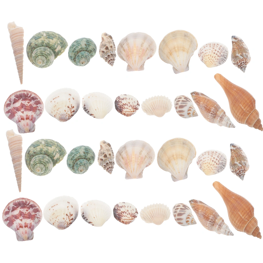 1 Box of Creative DIY Shell Kit Delicate Conch DIY Material Shell DIY Accessory Random Color