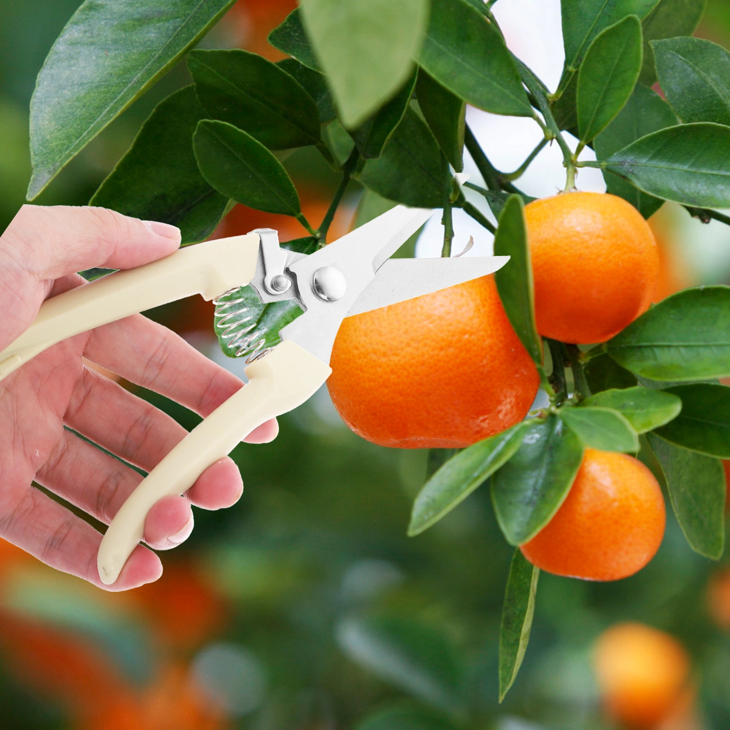 Gardening Cutter Fruit Branch Trimmer Scissor Stainless Steel Branch Scissor