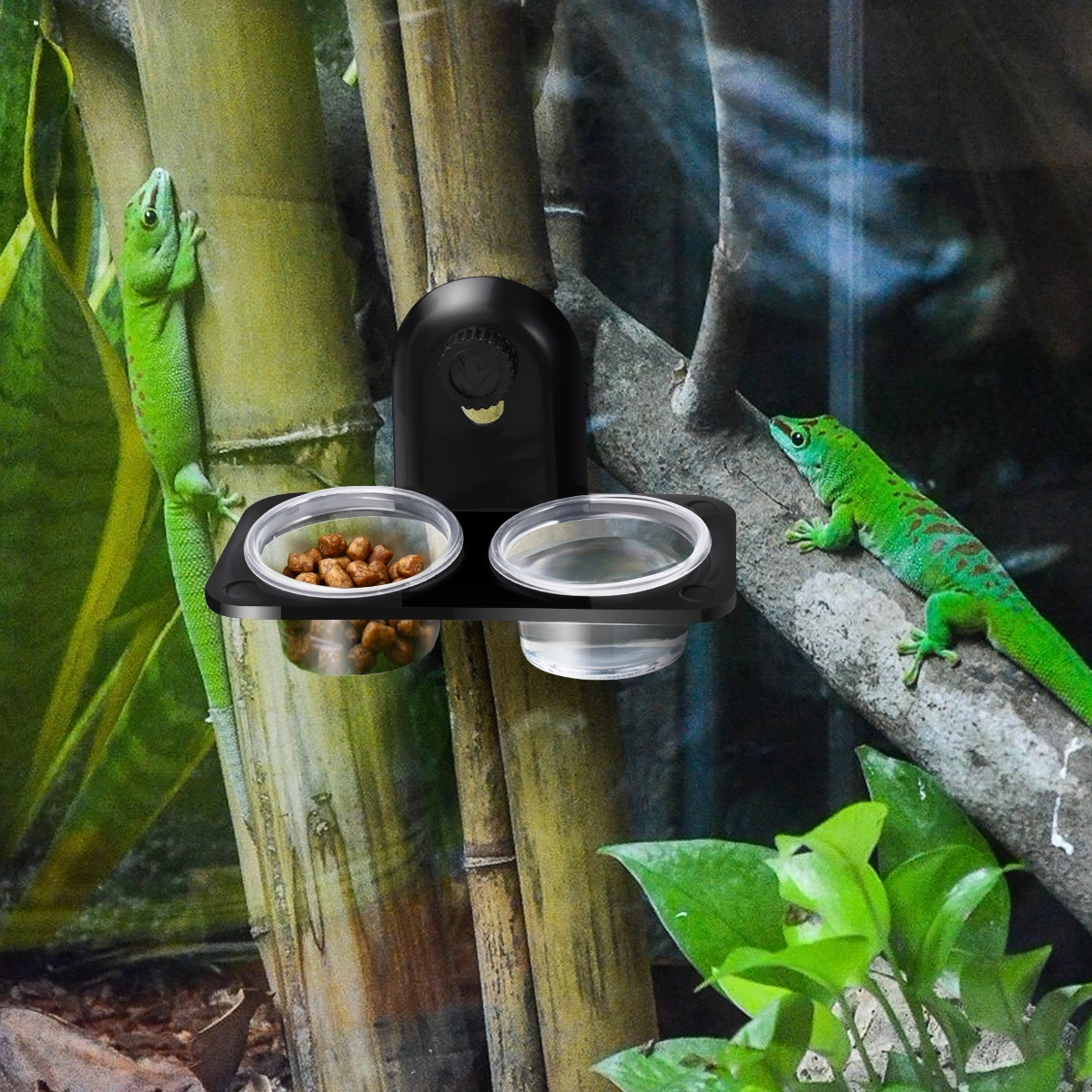 POPETPOP Pet Reptile Feeder Water Food Plastic Bowl Cup Lizard Turtle Cricket Basin Feeding Supplies (Black Double Screw Pattern)