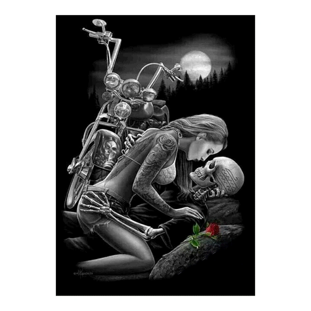 Beads Painting Girl and Skull Pattern Cross Stitch Painting by Diamond Home Ornaments Z324