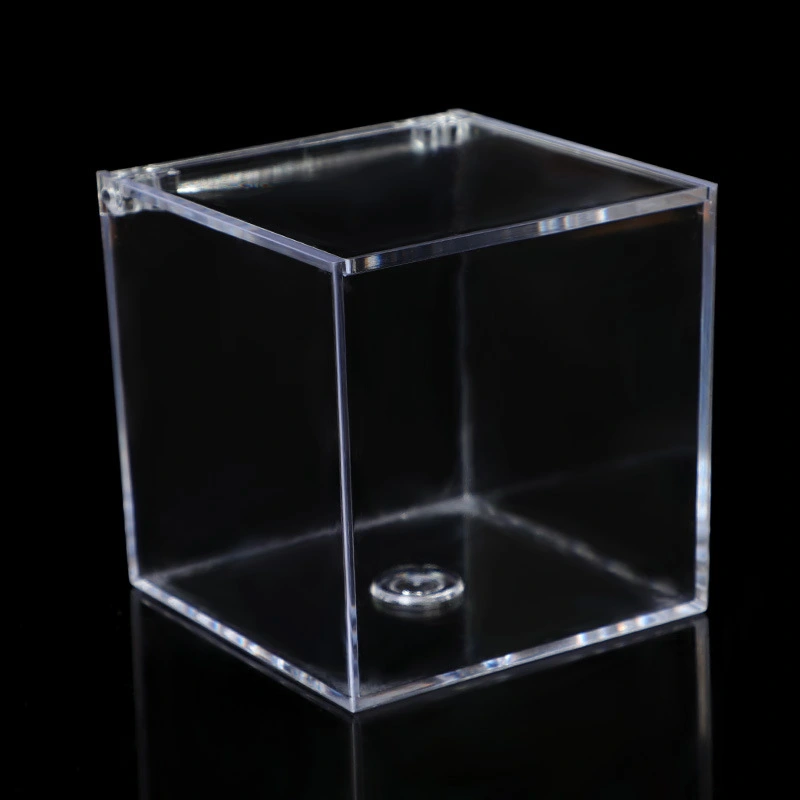 Doll Display Case Acrylic Storage Box Doll Holder Desktop Paperclips Holder Clear Display Box