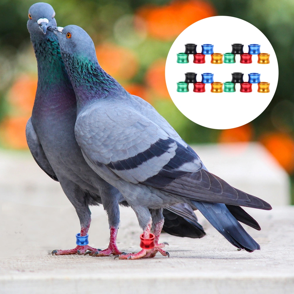 20Pcs Homing Pigeon Leg Rings Colorful Bird Leg Bands Private Pigeons Marker