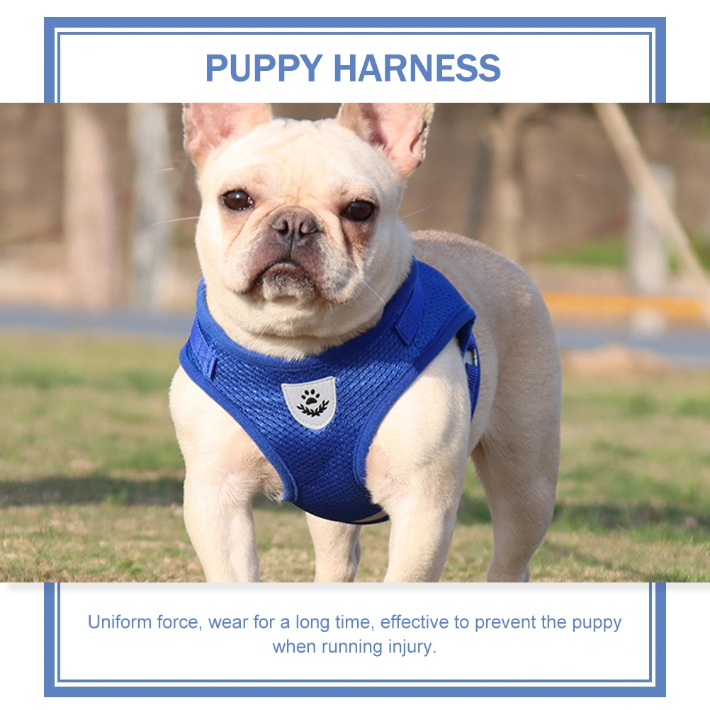 1 Set Dog Harness Dog Harness and Leash Set Cooling Vest for Dogs Puppy Vest