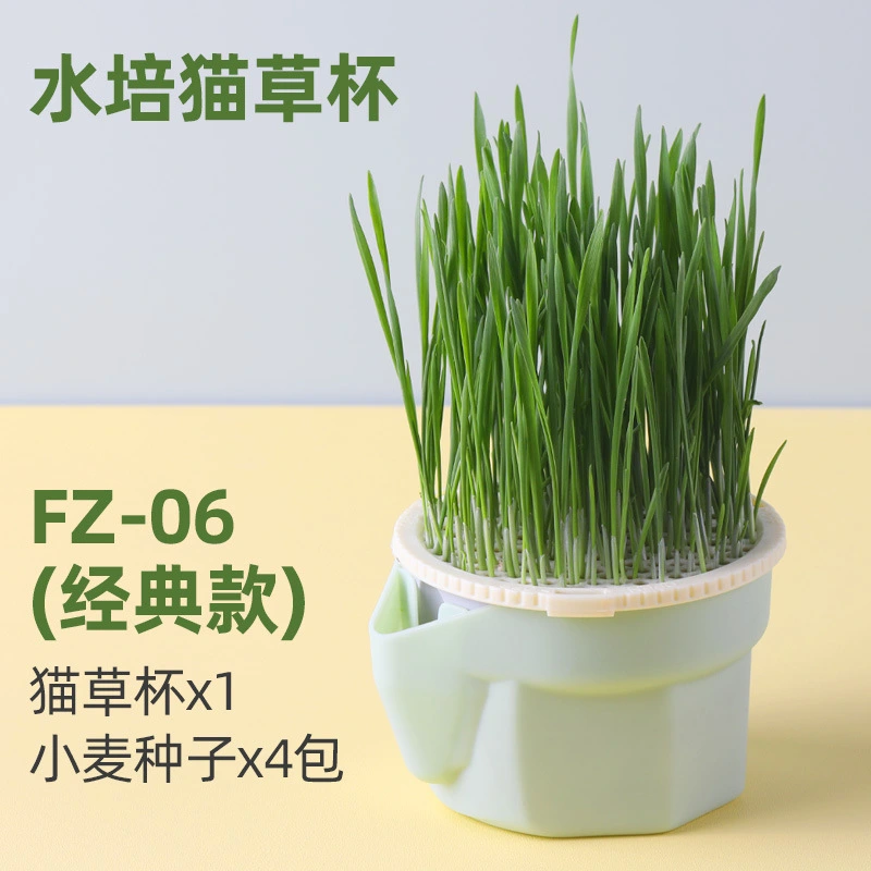 Cat Plants Hydroponic Planting Cup Soilless Catnip Planting Box Cat Grass Box Hydroponics Box