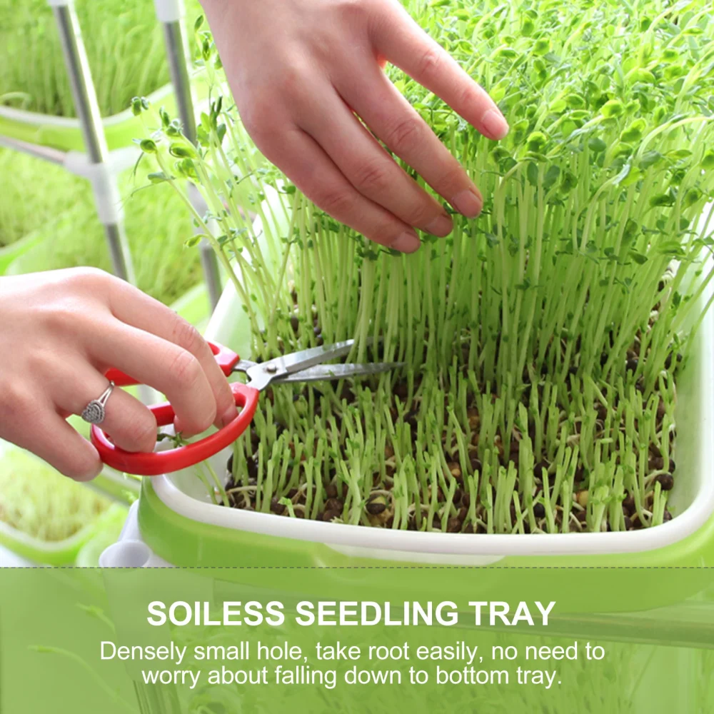 4 Set Sprouting Basins Soilless Sprouter Trays Water Planting Containers Nursery Site for Wheatgrass Soybean Mung (Random Color, 1 Set Includs a Tray and a Grid)