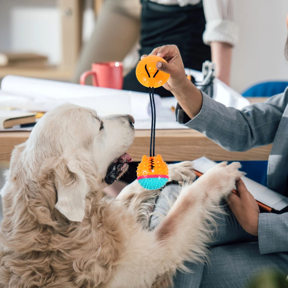 Dog Chewing Toy Practical Dog Playing Toy Pet Interactive Toy with Sucker