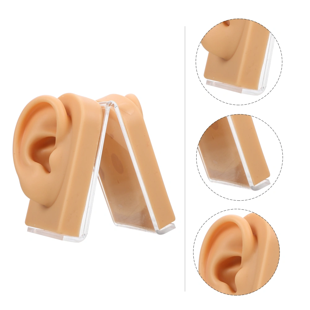 1 Set Silicone Ear Model Fake Ear Model Simulated Ear Model Ear Piercing Model Piercing Tool