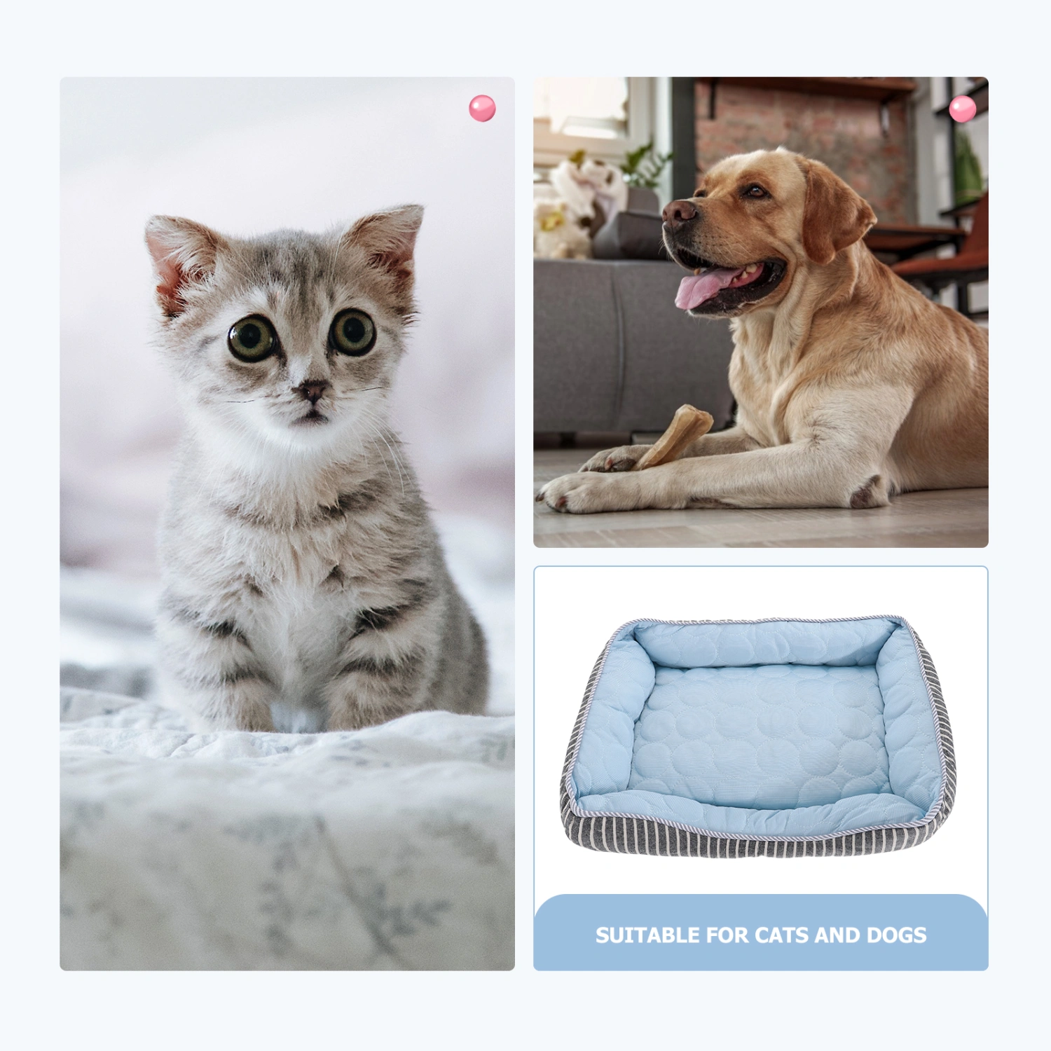 Creative Dog Cooling Mat Comfortable Pet Sleeping Cushion for Home Pet Cooling Pad