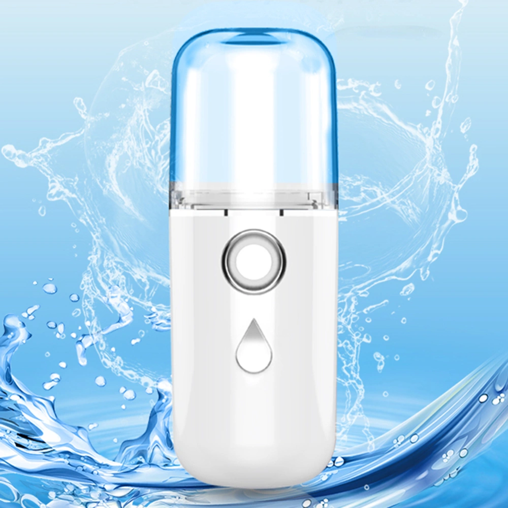 USB Charged Nano Hydrator Mini Handheld Beauty Instrument Water Replenishment Instrument Portable Face Humidifier for Lady (White)