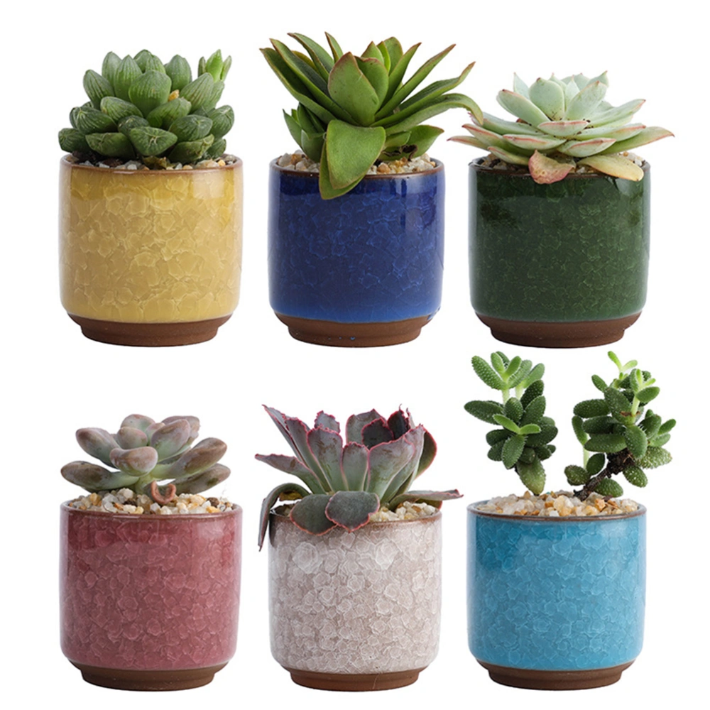 6pcs Ceramic Succulent Planter Pots Coloured Ceramic Flower Pot for Home Office Decor (Dark Blue, Red, White, Yellow, Green, Light Blue without Plant)