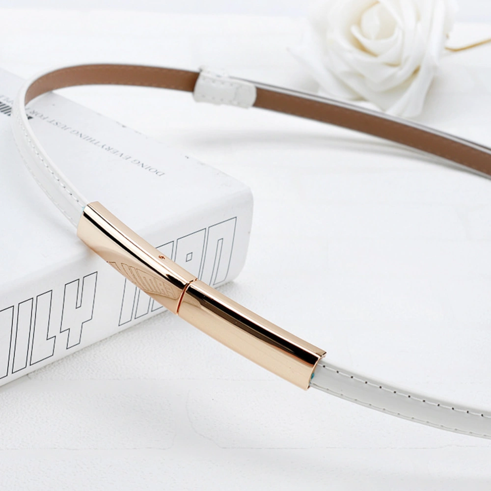 Stylish Leather Belt Fashion Dress Accessory Elegant Dress Waistband Party Costume Accessories for Women Ladies (White)