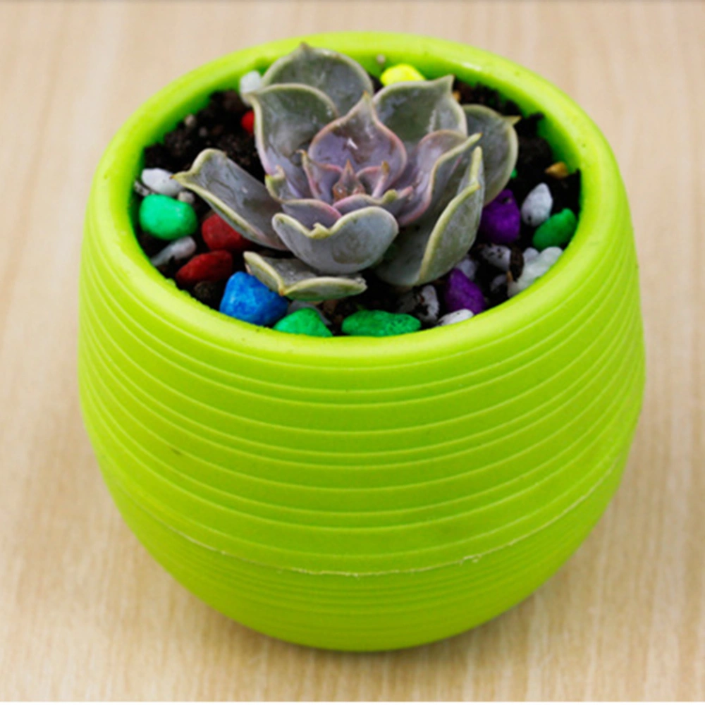 Mini Round Resin Flower Pot Solid Color Planter Home Office Decor for Succulents Cactus (Green)