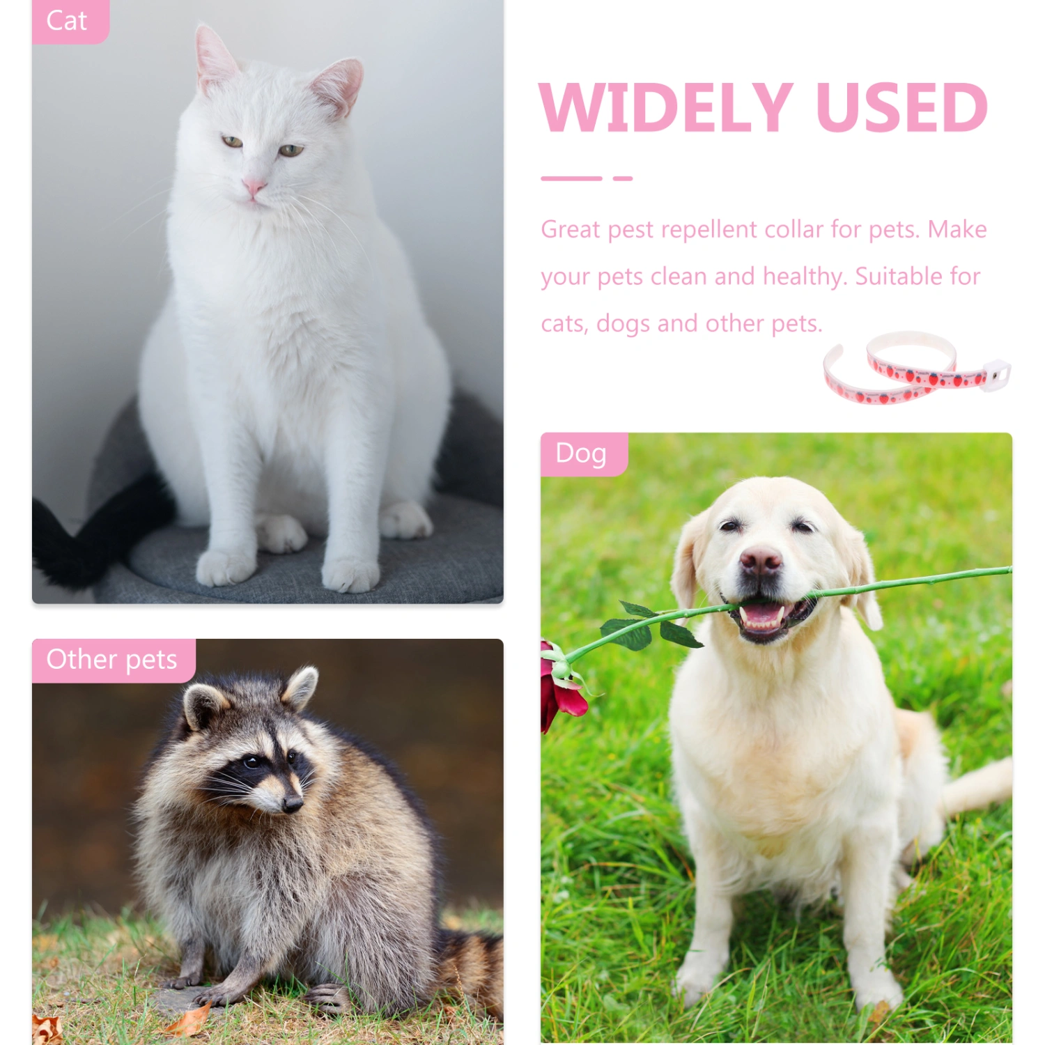 Creative Anti Flea Collar Adorable Insect Mosquitoes Repellent Pet Cat Collar