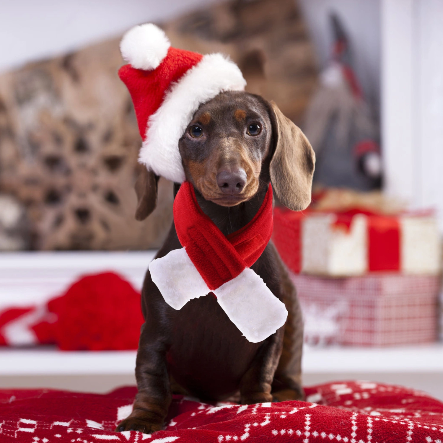 1 Set/3pcs Pet Costume Dog Hat Scarf Collar Cat Santa Hat Pet Supplies (Red)