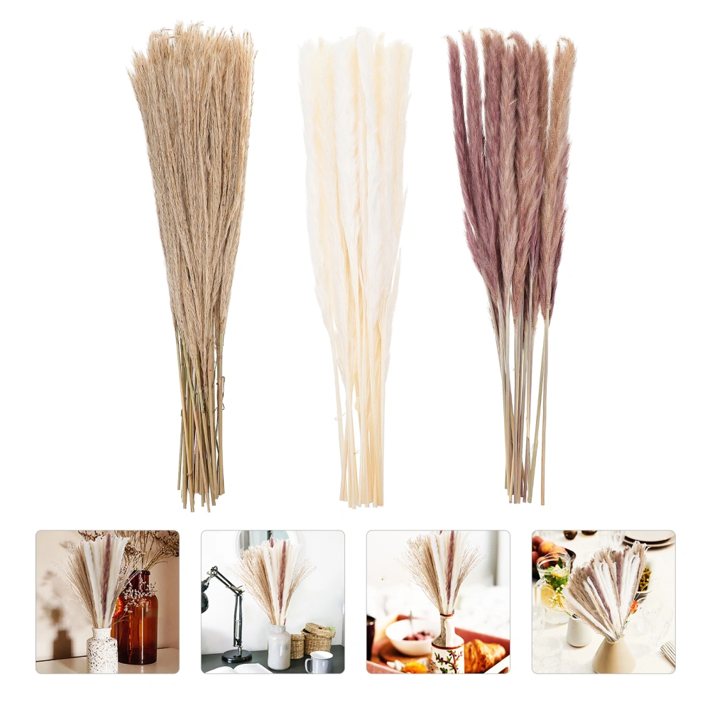 60pcs Dried Reed Grass Decor Dried Arrangements Plants Wedding Party Decor